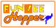 FunVee City Hopper logo